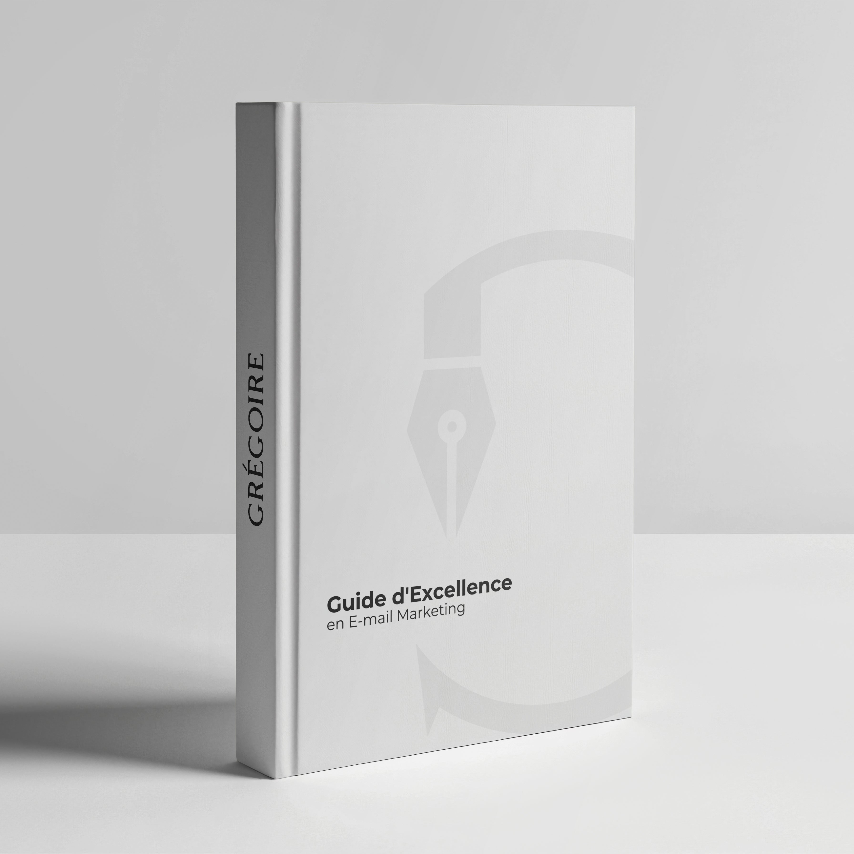 Guide d'Excellence en E-mail Marketing