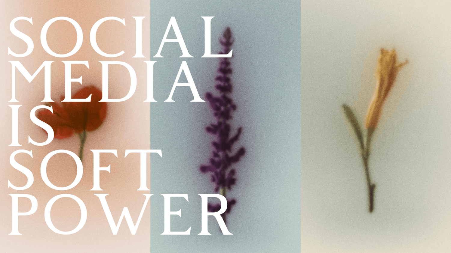 Social media e soft power